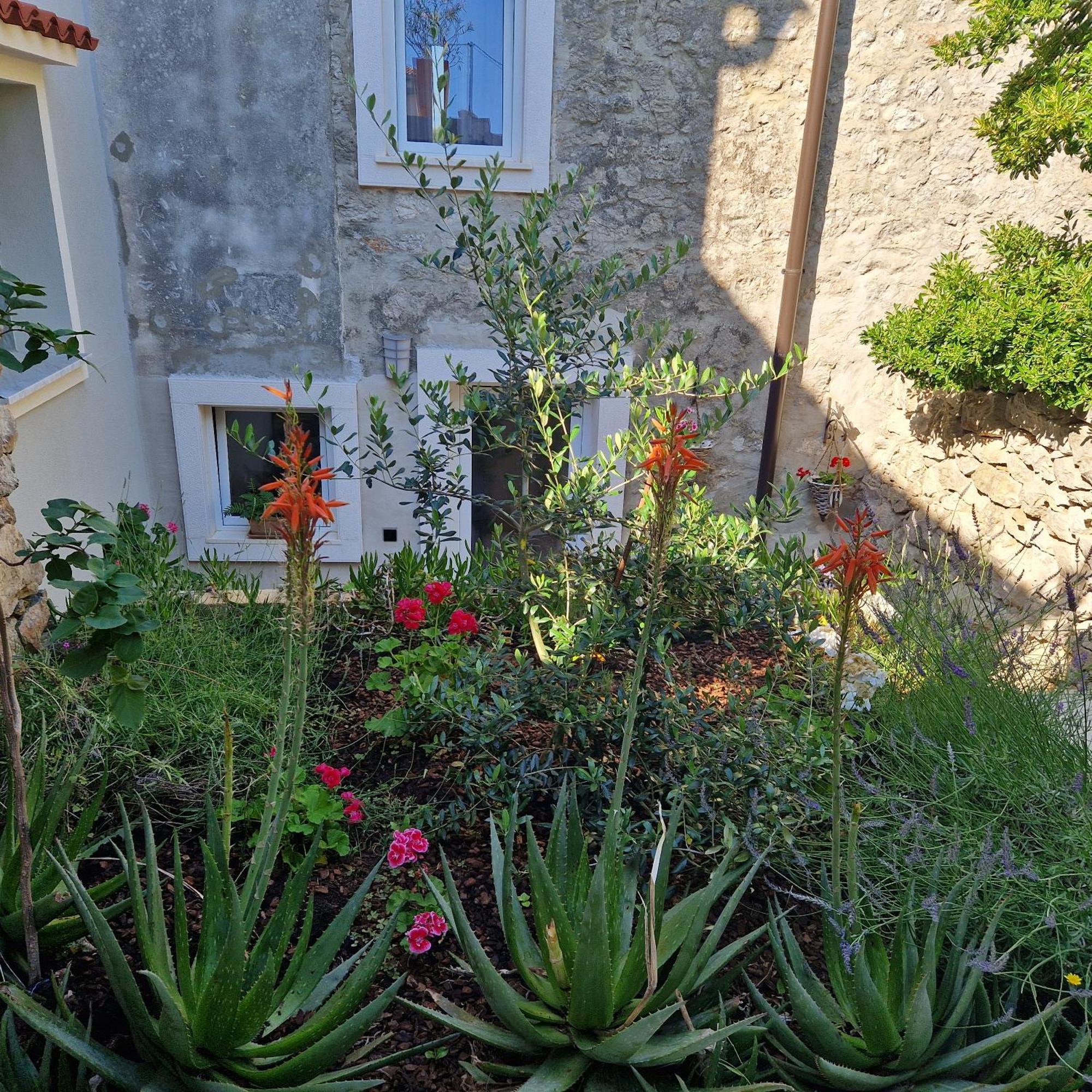 Castel Leilighet Mali Lošinj Eksteriør bilde
