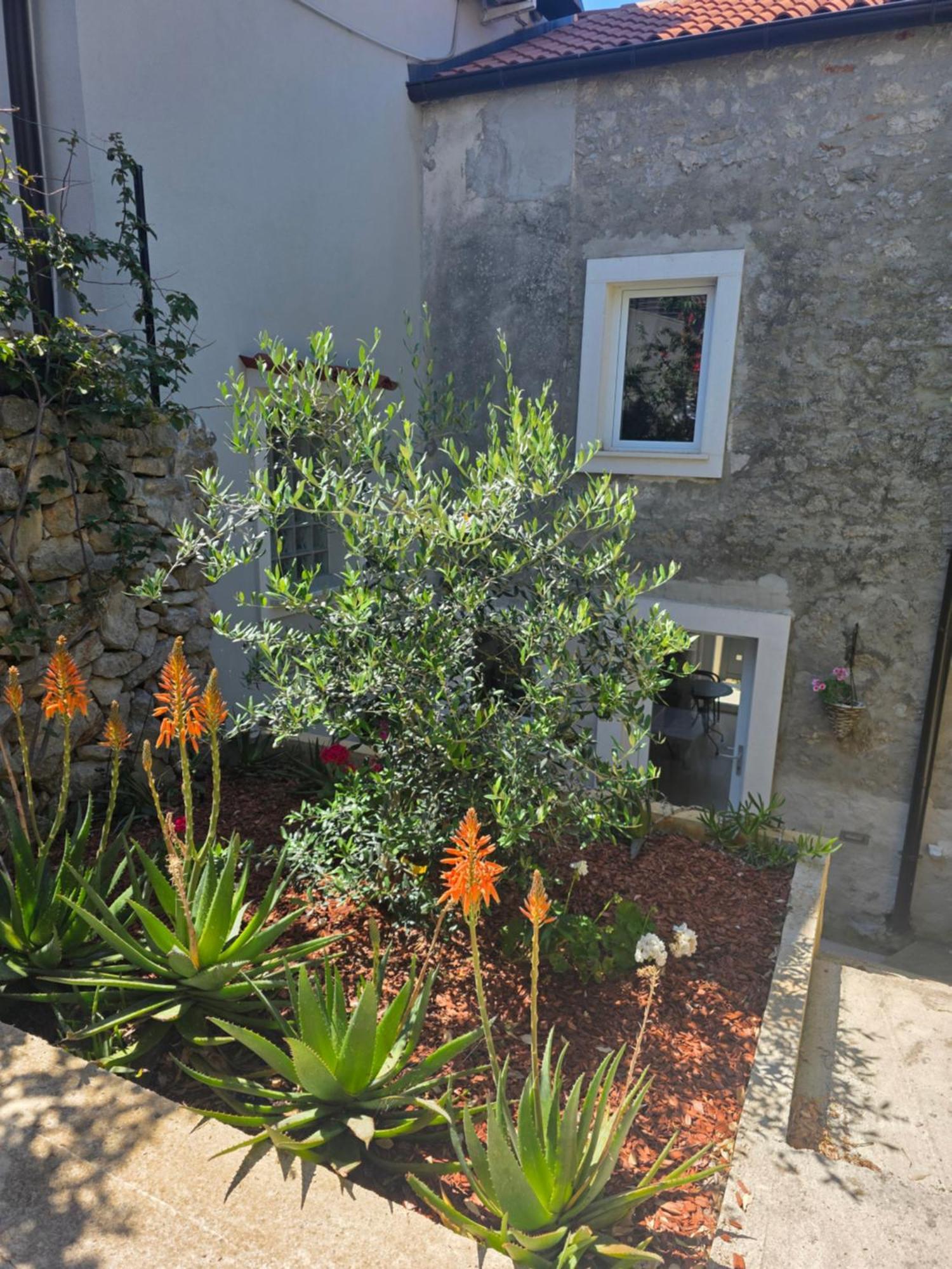Castel Leilighet Mali Lošinj Eksteriør bilde
